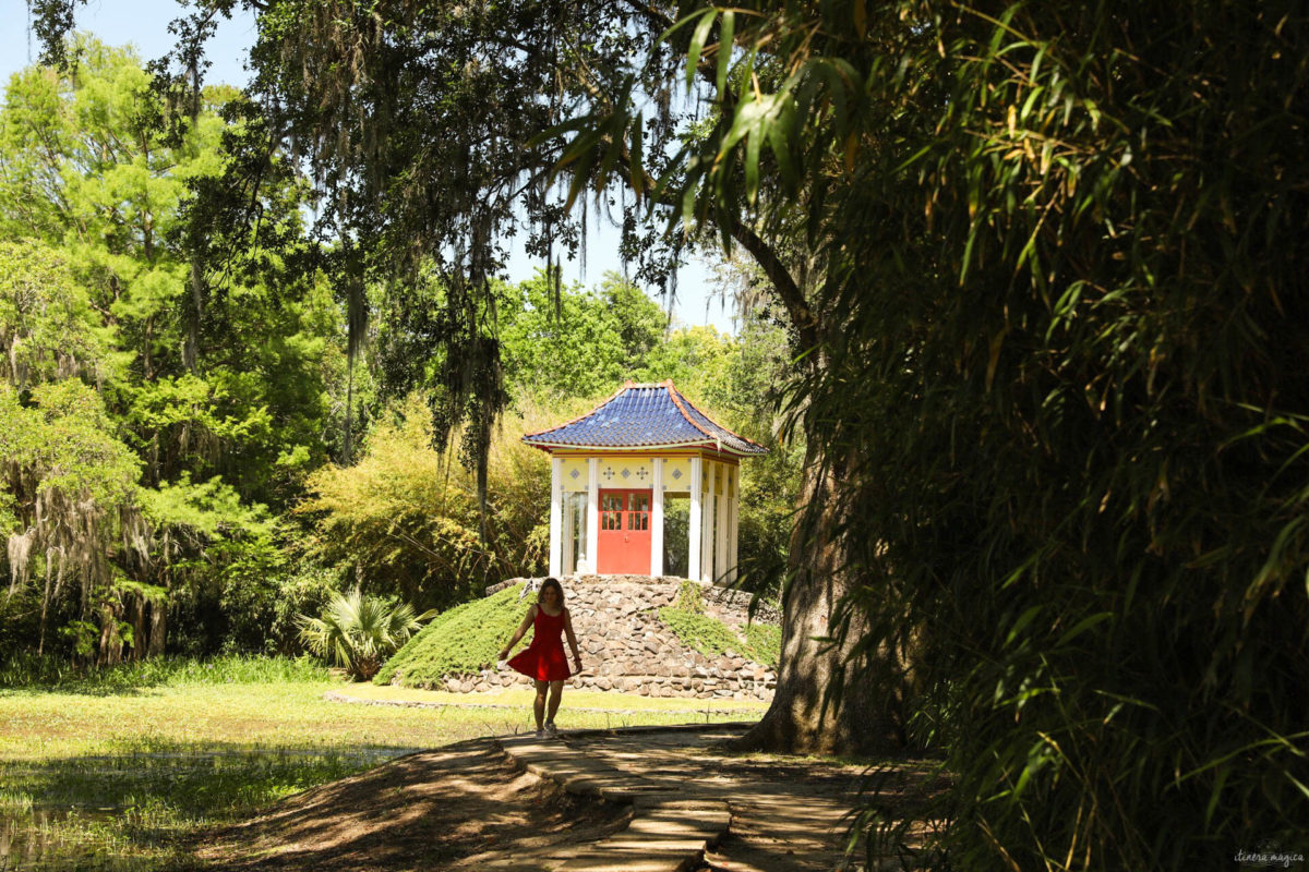 Plongez au coeur des bayous de Louisiane et des plantations, entre alligators et swamp tours. Immersion mythique en #Louisiane.