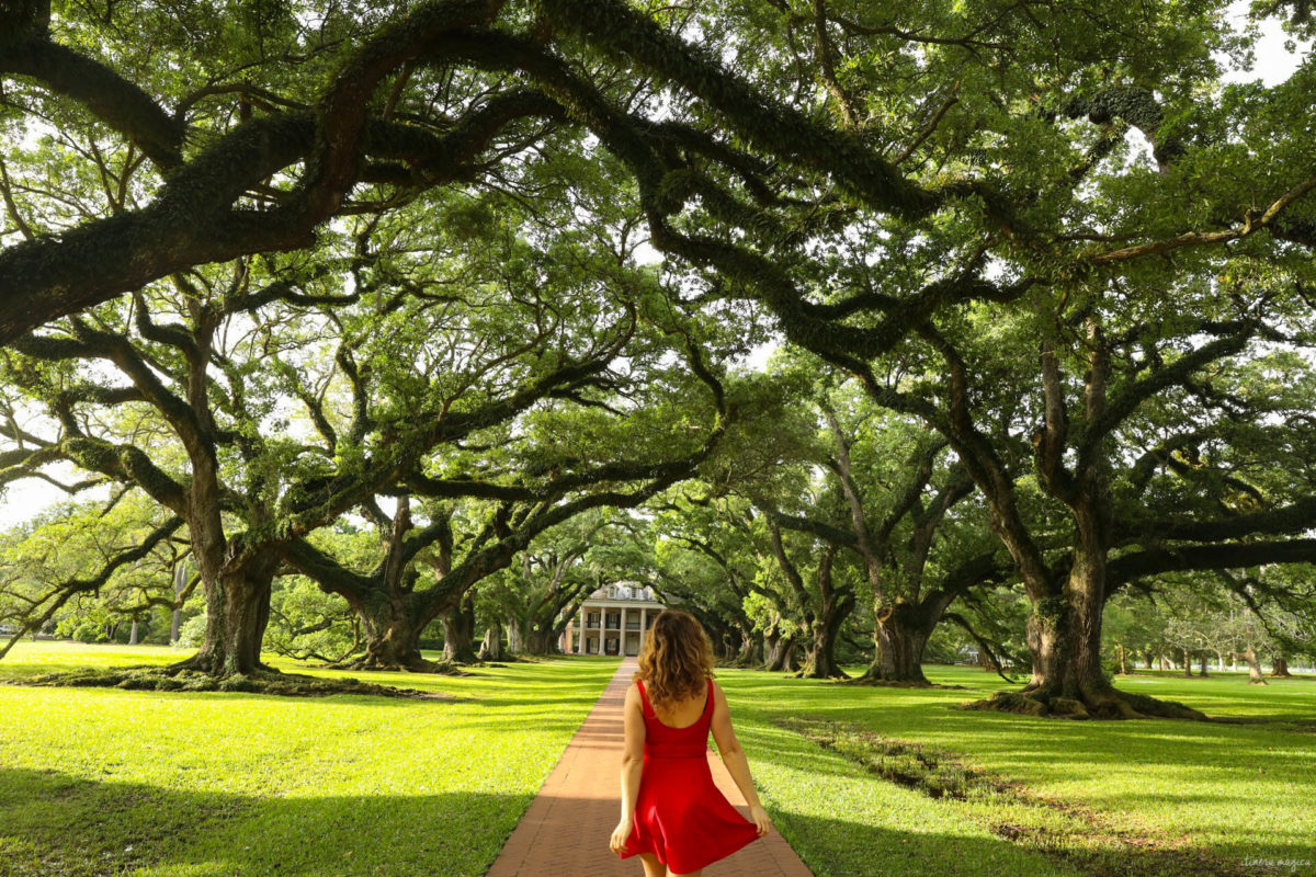 Oak Alley, Louisiane