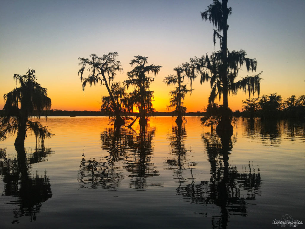 Plongez au coeur des bayous de Louisiane et des plantations, entre alligators et swamp tours. Immersion mythique en #Louisiane.