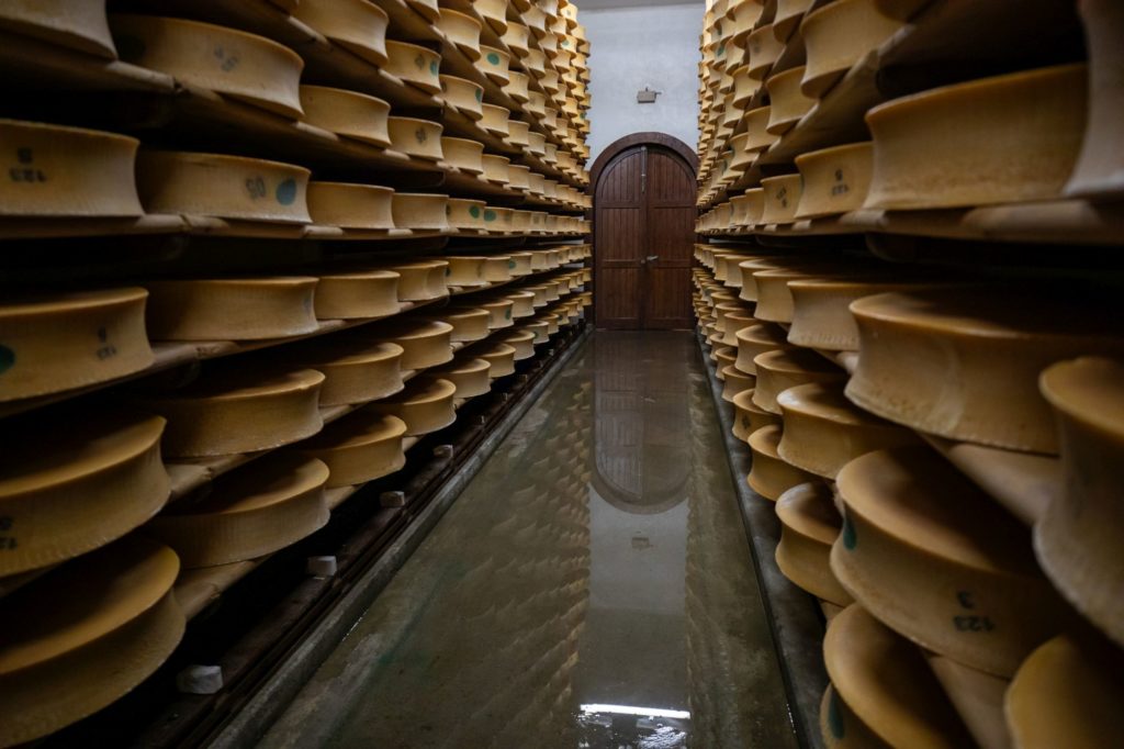 pastoralisme fromage