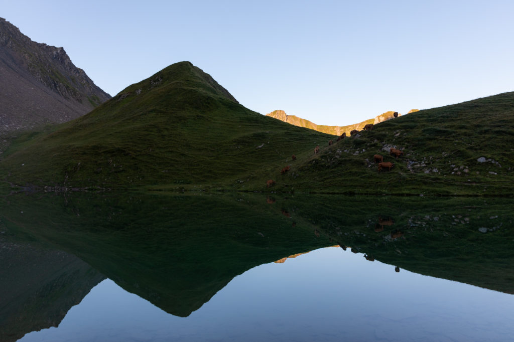 tour du beaufortain avec mon chien