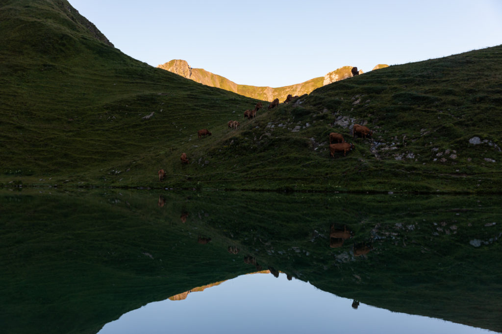 que faire dans le beaufortain ? randonnee lac d'amour pierra menta