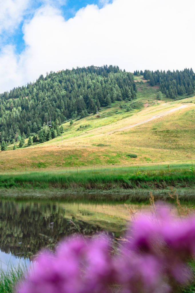 randonnée en belledonne en été : la pierre du carré au collet d'allevard