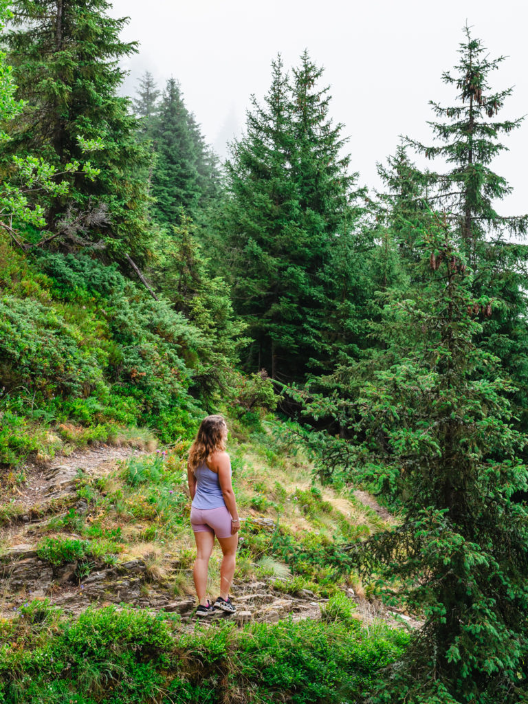 randonnée en belledonne en été : la pierre du carré au collet d'allevard
