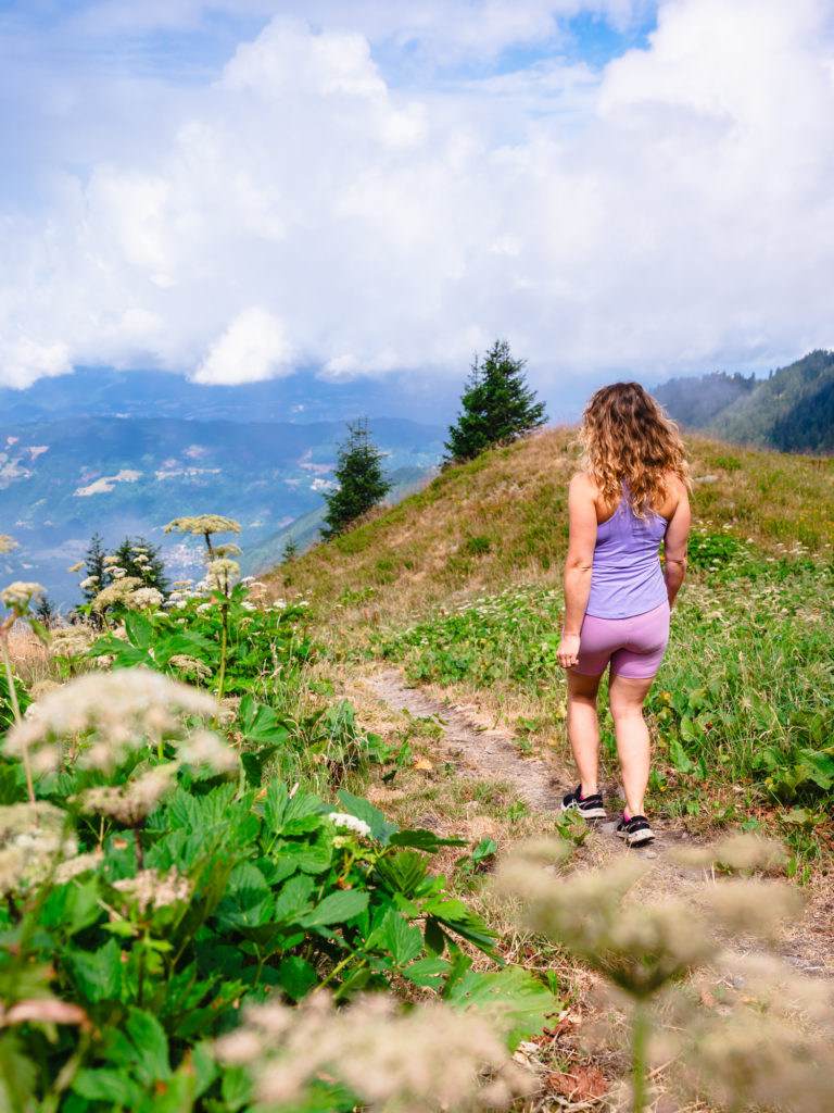 randonnée en belledonne en été : la pierre du carré au collet d'allevard