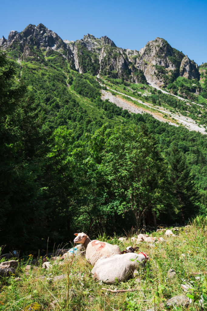 gîte d'alpage combe madame