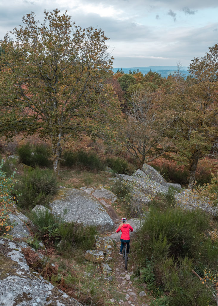 Un séjour en Creuse à l'automne, avec de belles adresses dans la Creuse : étang des landes