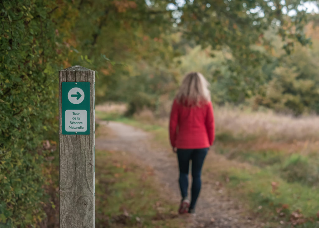 Un séjour en Creuse à l'automne, avec de belles adresses dans la Creuse : étang des landes