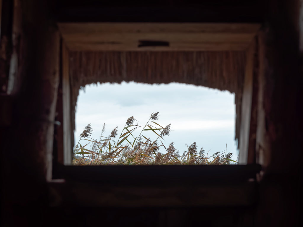 Un séjour en Creuse à l'automne, avec de belles adresses dans la Creuse : étang des landes