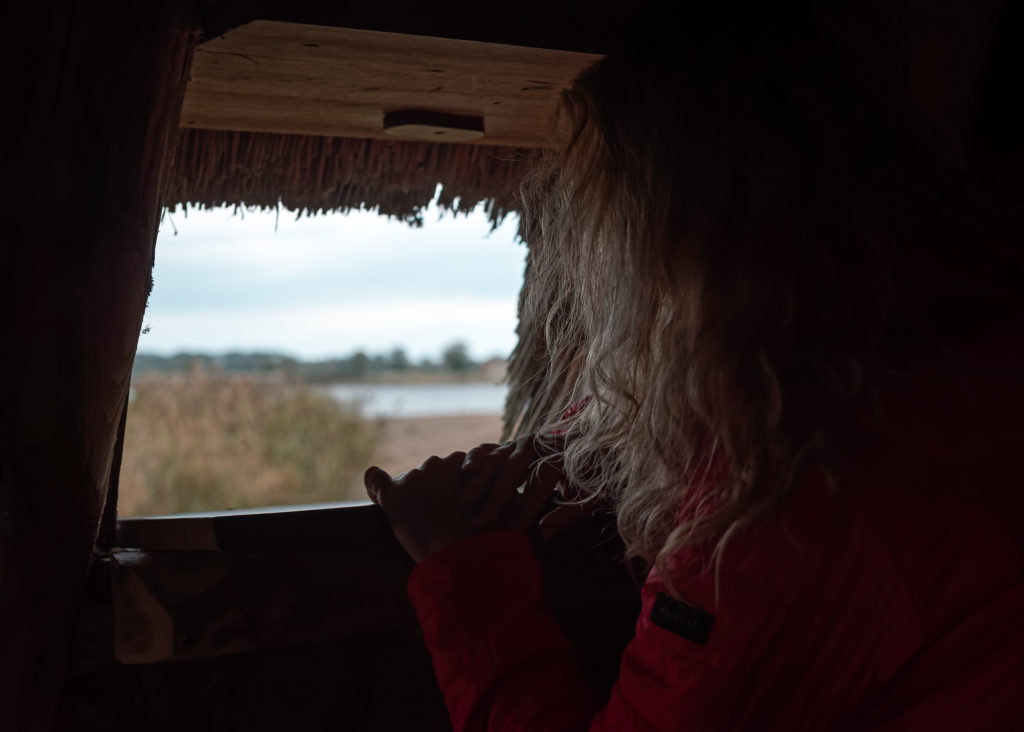 Un séjour en Creuse à l'automne, avec de belles adresses dans la Creuse : étang des landes