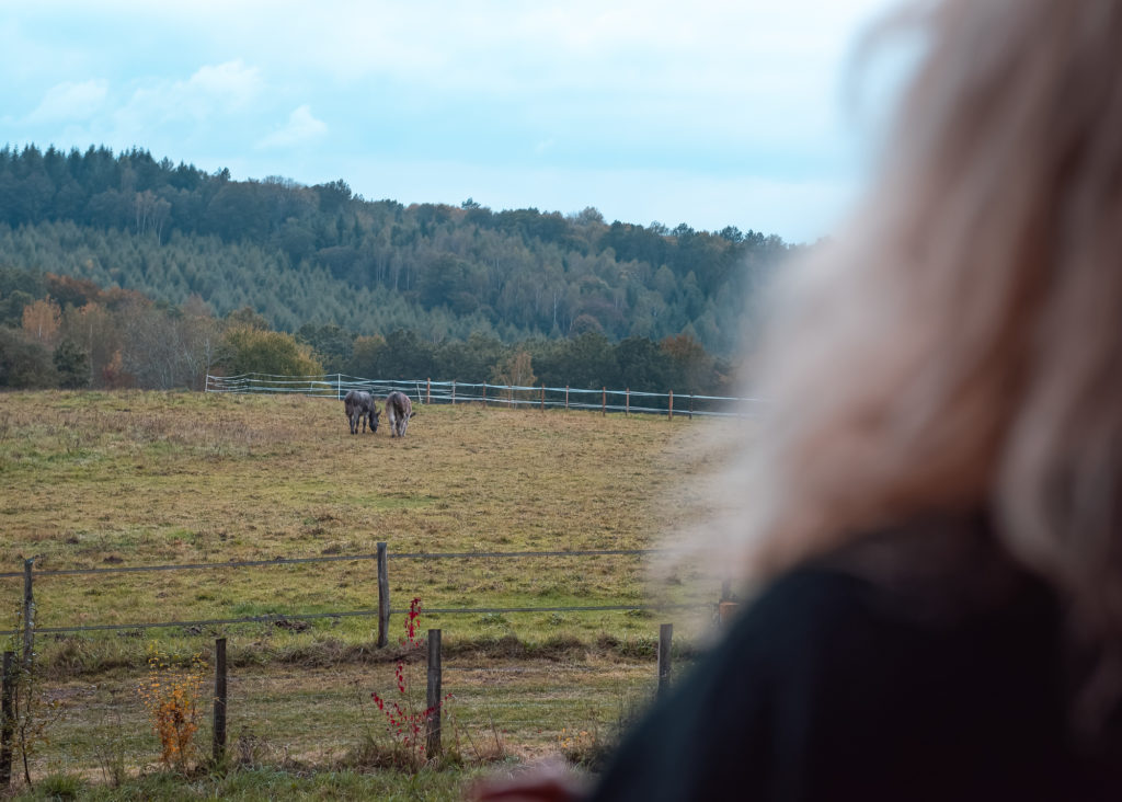 Belles et bonnes adresses dans la creuse : un séjour romantique à l'automne dans la cabane perchée du château de Mémanat