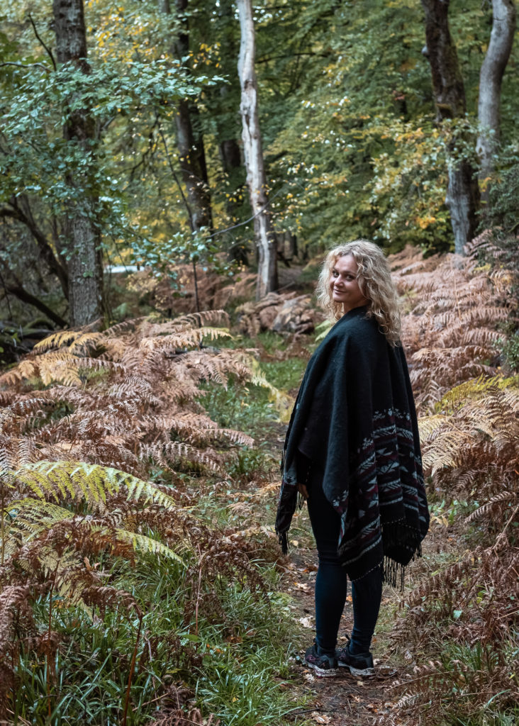 Belles et bonnes adresses dans la creuse : un séjour romantique à l'automne dans la cabane perchée du château de Mémanat