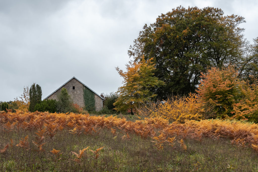 Un séjour en Creuse à l'automne, avec de belles adresses dans la Creuse : jardin de val maubrune