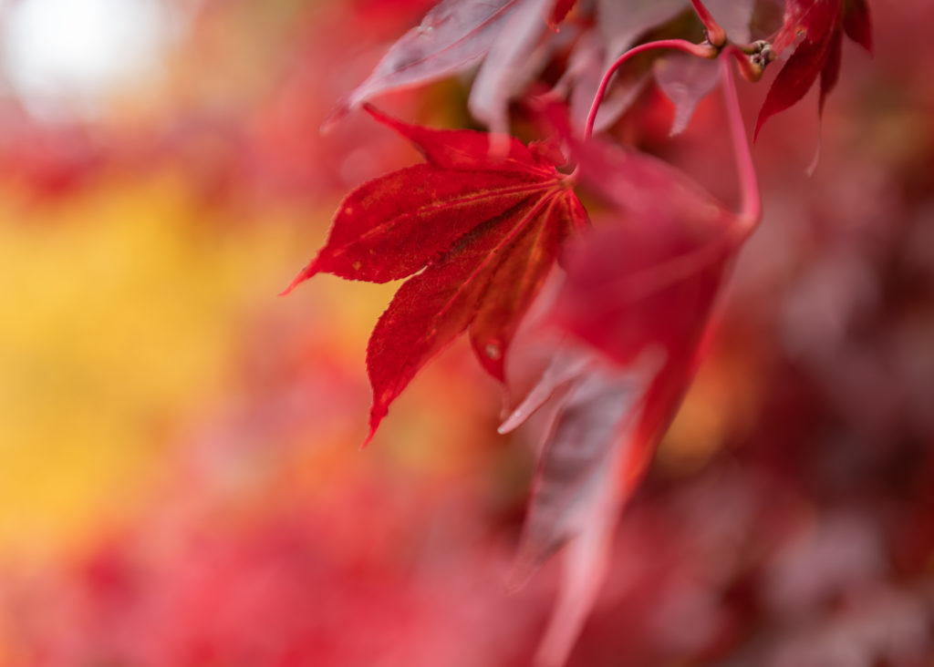 Un séjour en Creuse à l'automne, avec de belles adresses dans la Creuse