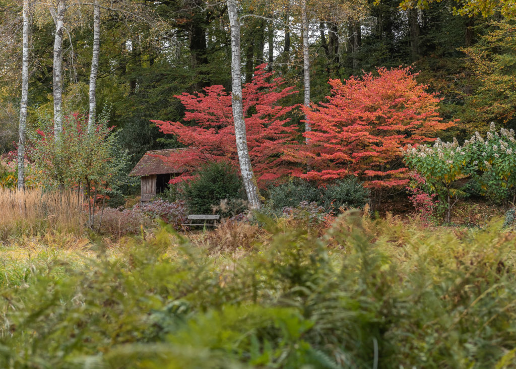 Un séjour en Creuse à l'automne, avec de belles adresses dans la Creuse : jardin de val maubrune