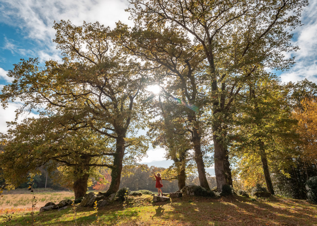 Un séjour en Creuse à l'automne, avec de belles adresses dans la Creuse : jardin de val maubrune