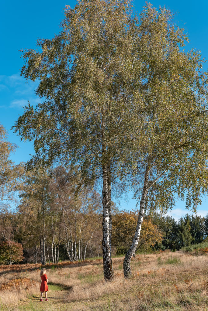 Un séjour en Creuse à l'automne, avec de belles adresses dans la Creuse : jardin de val maubrune