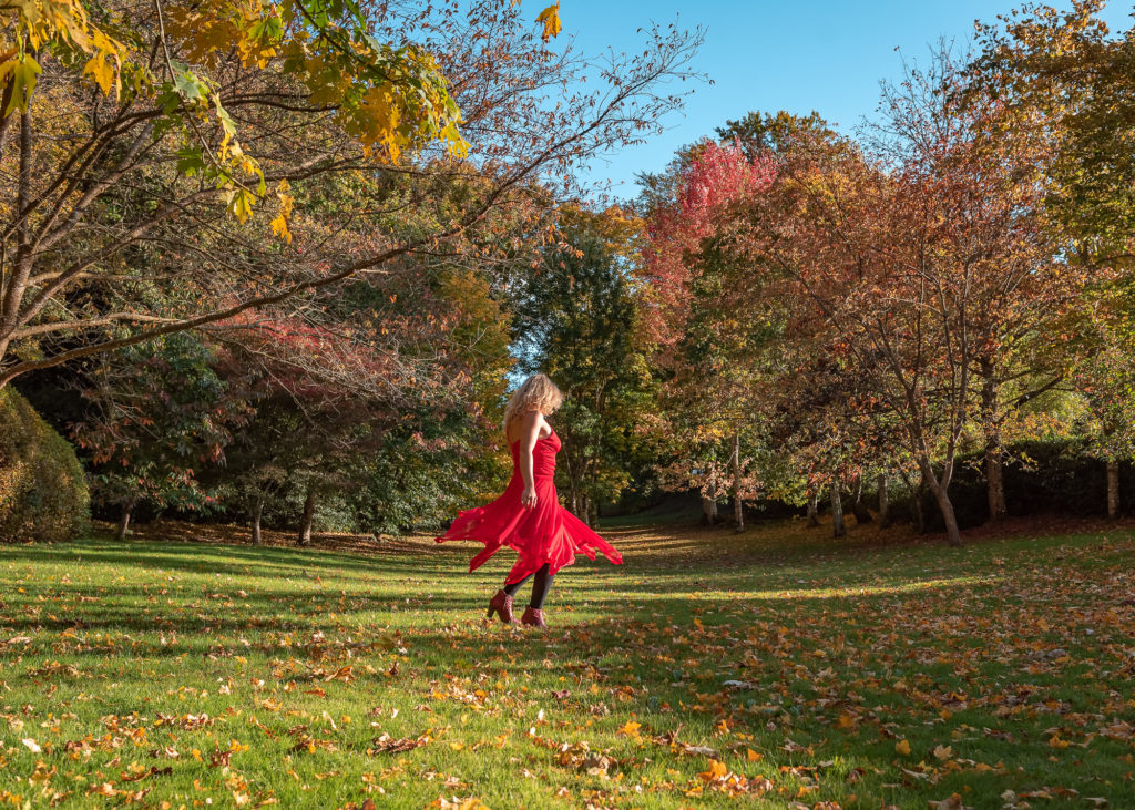 Un séjour en Creuse à l'automne, avec de belles adresses dans la Creuse : arboretum de la sédelle