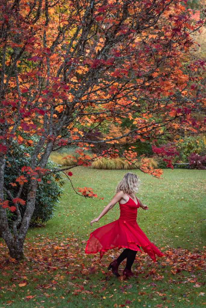 Un séjour en Creuse à l'automne, avec de belles adresses dans la Creuse : arboretum de la sédelle