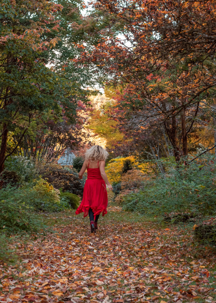 Un séjour en Creuse à l'automne, avec de belles adresses dans la Creuse : arboretum de la sédelle
