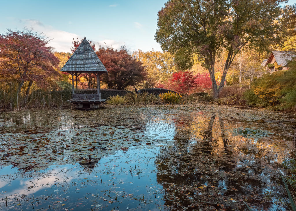 Un séjour en Creuse à l'automne, avec de belles adresses dans la Creuse : arboretum de la sédelle