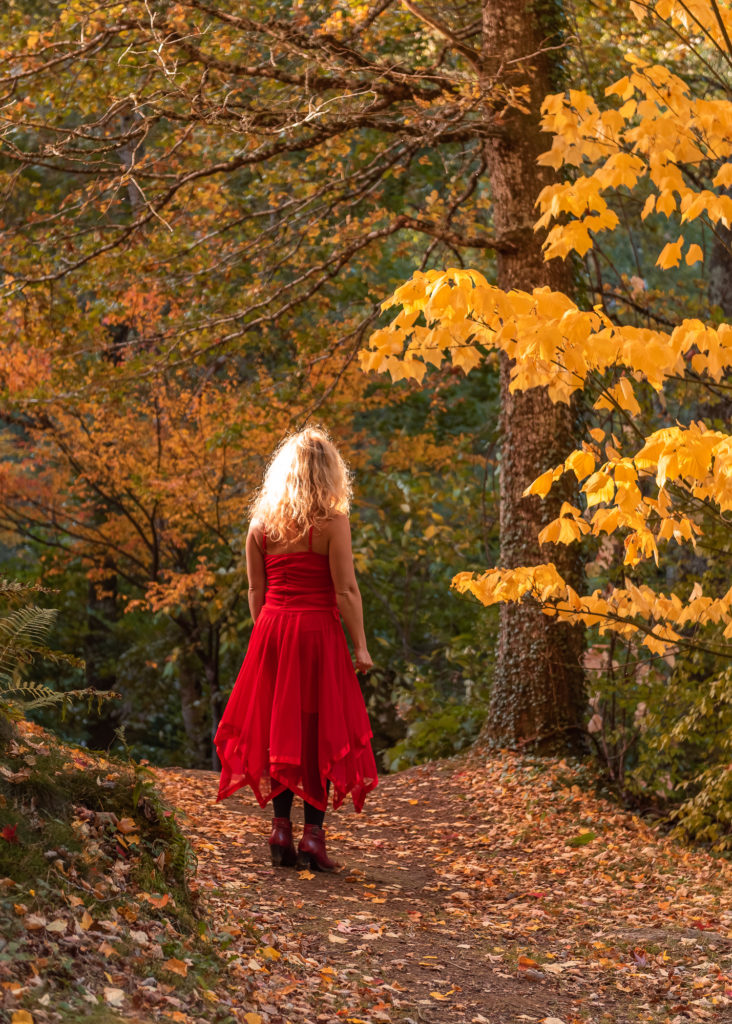 Un séjour en Creuse à l'automne, avec de belles adresses dans la Creuse : arboretum de la sédelle