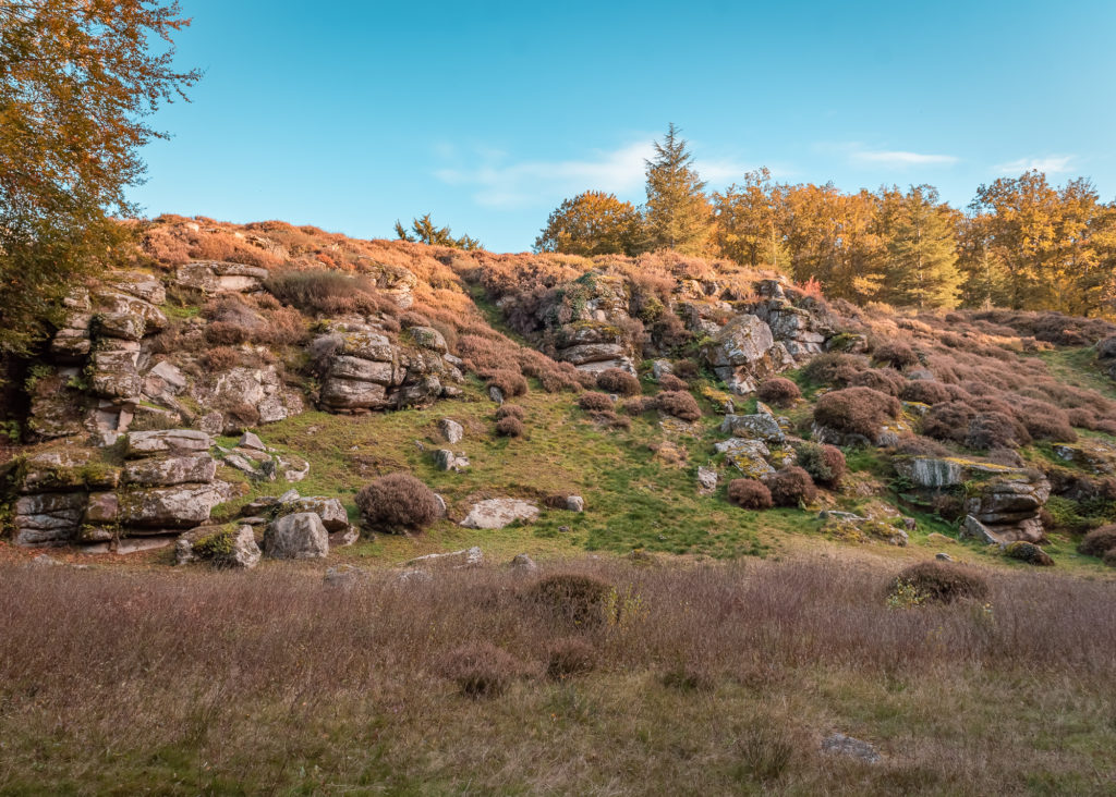 Un séjour en Creuse à l'automne, avec de belles adresses dans la Creuse : arboretum de la sédelle