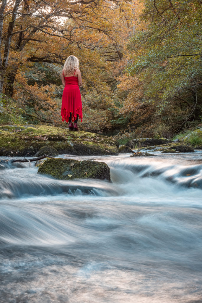 Un séjour en Creuse à l'automne, avec de belles adresses dans la Creuse : arboretum de la sédelle