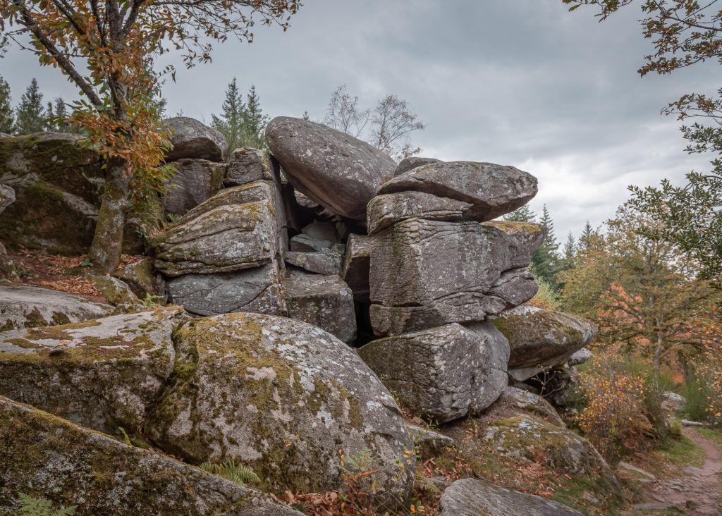 Un séjour en Creuse à l'automne, avec de belles adresses dans la Creuse : étang des landes