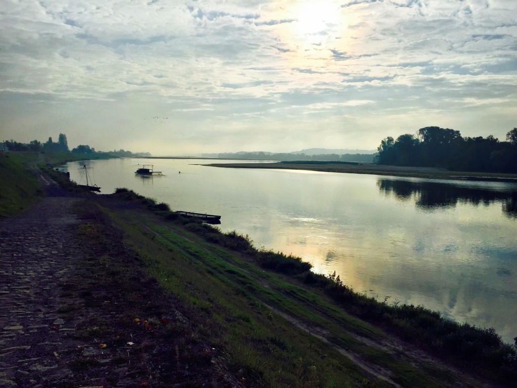 Bords de Loire, entre Angers et Saumur