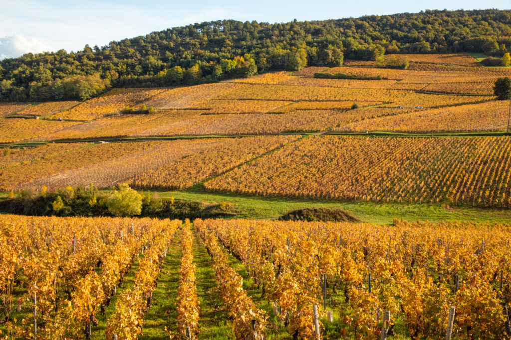 Roche de Solutré en automne