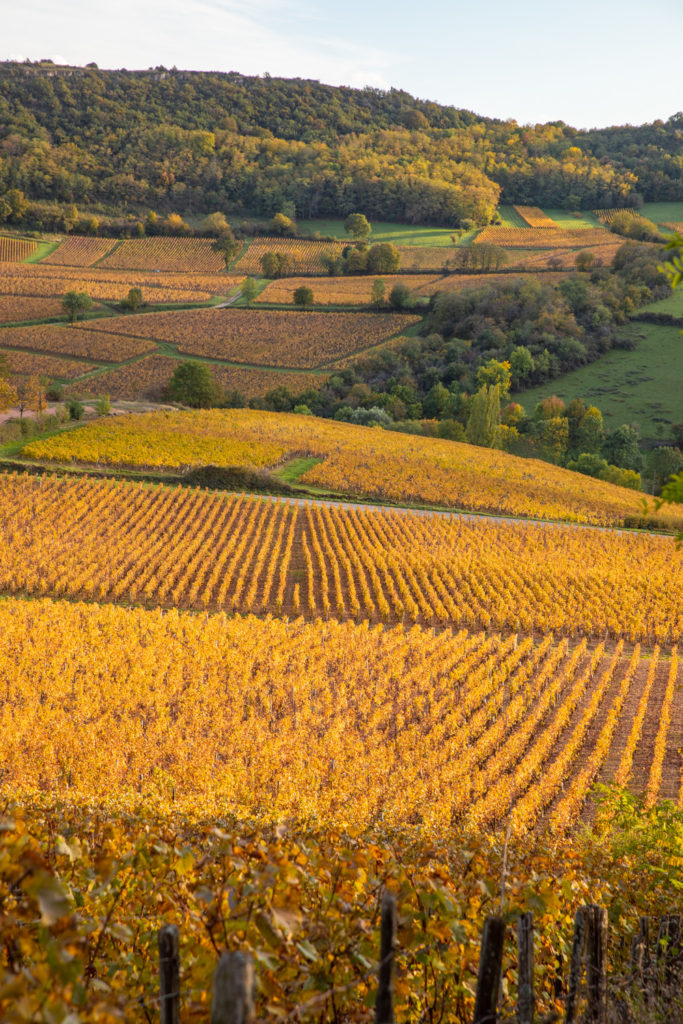 Découvrez la Bourgogne en automne : la roche de Solutré, Fontenay, Vézelay, Bussy-Rabutin, Châteauneuf en Auxois. Bonnes adresses en Bourgogne