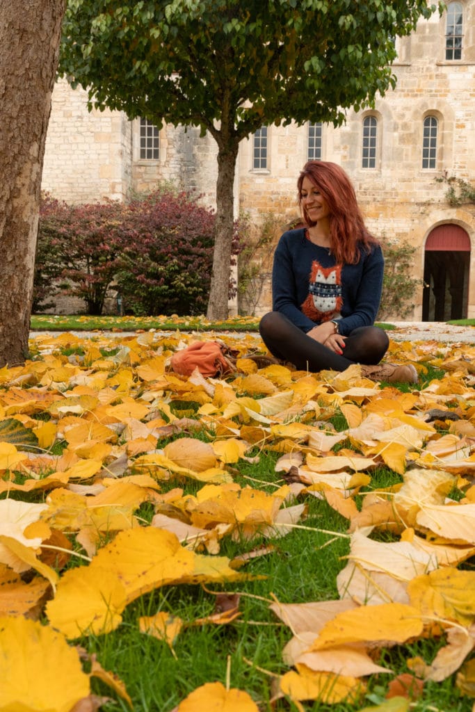 Découvrez la Bourgogne en automne : la roche de Solutré, Fontenay, Vézelay, Bussy-Rabutin, Châteauneuf en Auxois. Bonnes adresses en Bourgogne