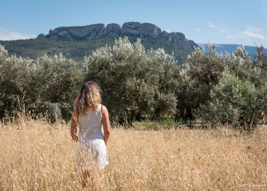 Die Ölbaum-Route in der Provence: entdecken Sie eine geheime, untouristische Provence, im Herzen des Naturparks der Baronnies provençales.