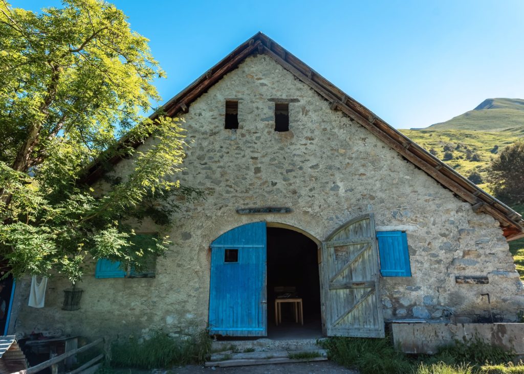 transhumances bergers alpes de haute provence