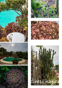 Secret paradise: Europe’s only nudist island, Le Levant - Itinera