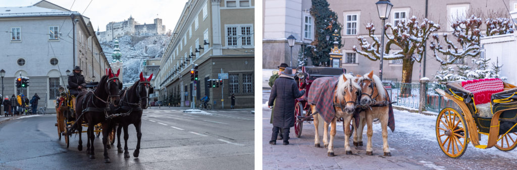 calèches salzbourg chevaux en hiver