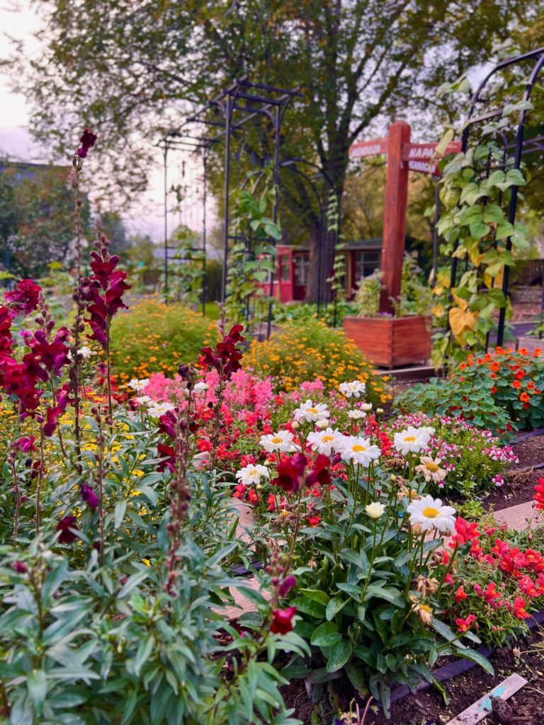 calgary bonnes adresses