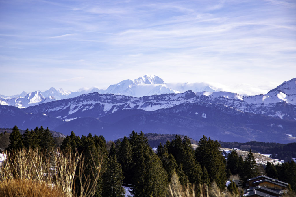 Que voir et que faire à Savoie Grand Revard en hiver ? Randonnée, chiens de traîneau, ski joering en pleine nature dans les montagnes de Chambéry