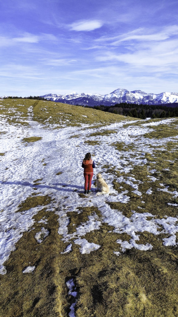 Que voir et que faire à Savoie Grand Revard en hiver ? Randonnée, chiens de traîneau, ski joering en pleine nature dans les montagnes de Chambéry