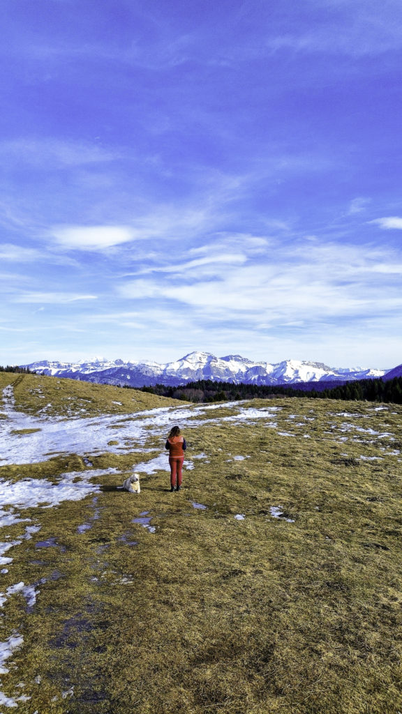 randonner avec mon chien à savoie grand revard dans les montagnes de chambéry
