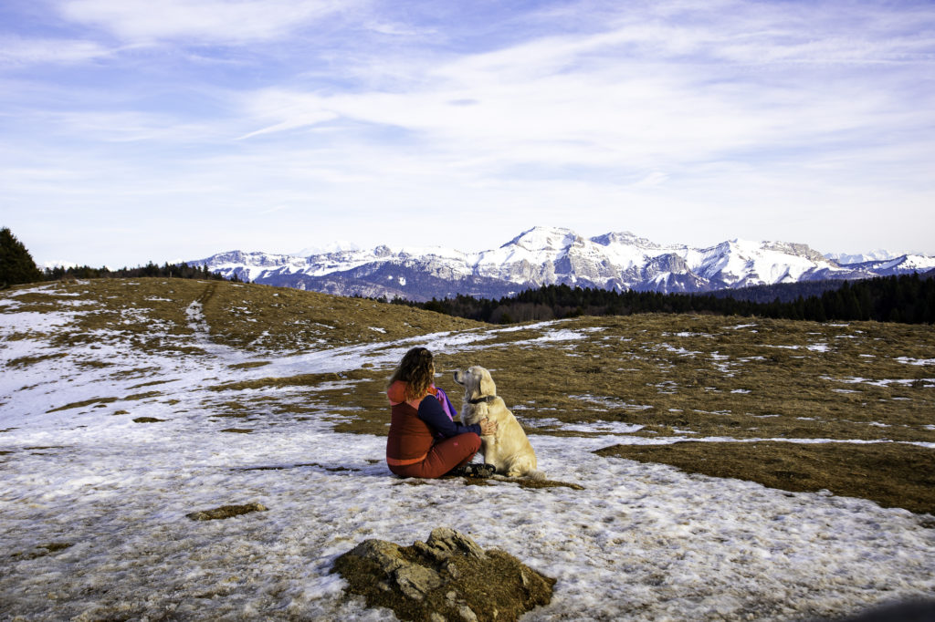 Que voir et que faire à Savoie Grand Revard en hiver ? Randonnée, chiens de traîneau, ski joering en pleine nature dans les montagnes de Chambéry