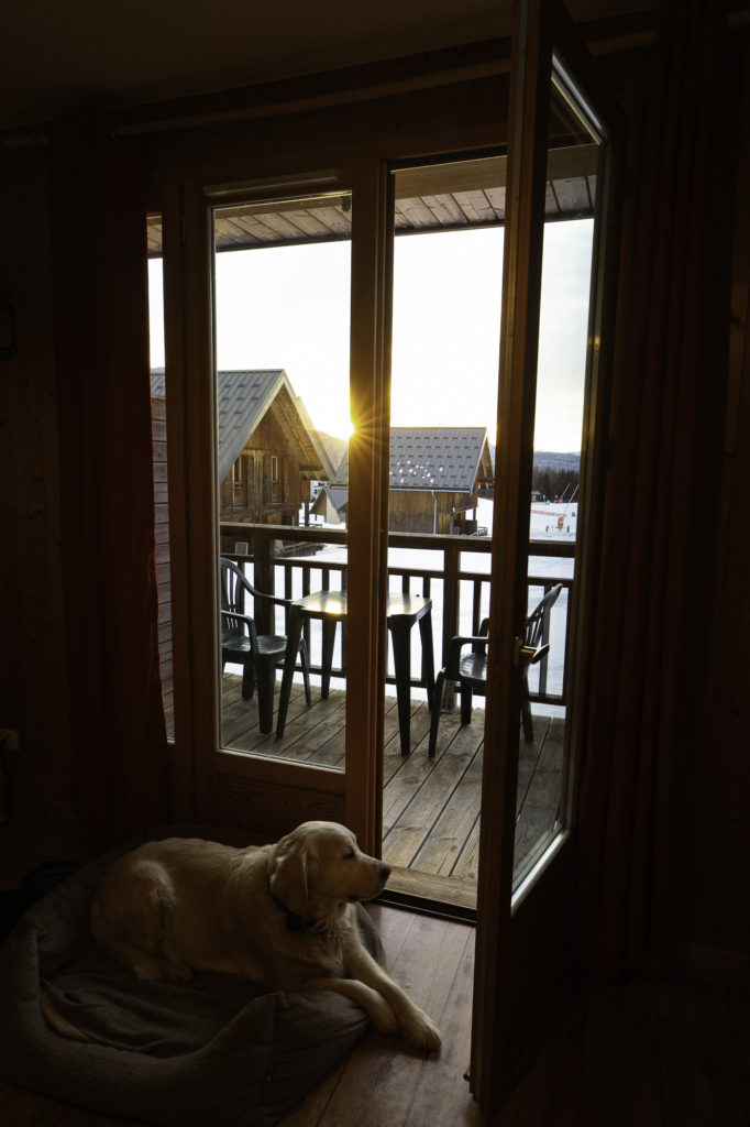 chalets du berger madame vacances la feclaz dormir avec mon chien à la montagne en Savoie
