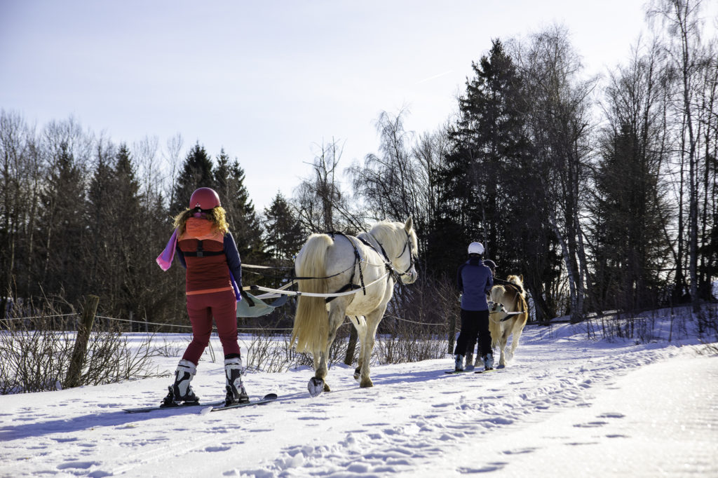 ski joering chevaux savoie grand revard chambery montagnes