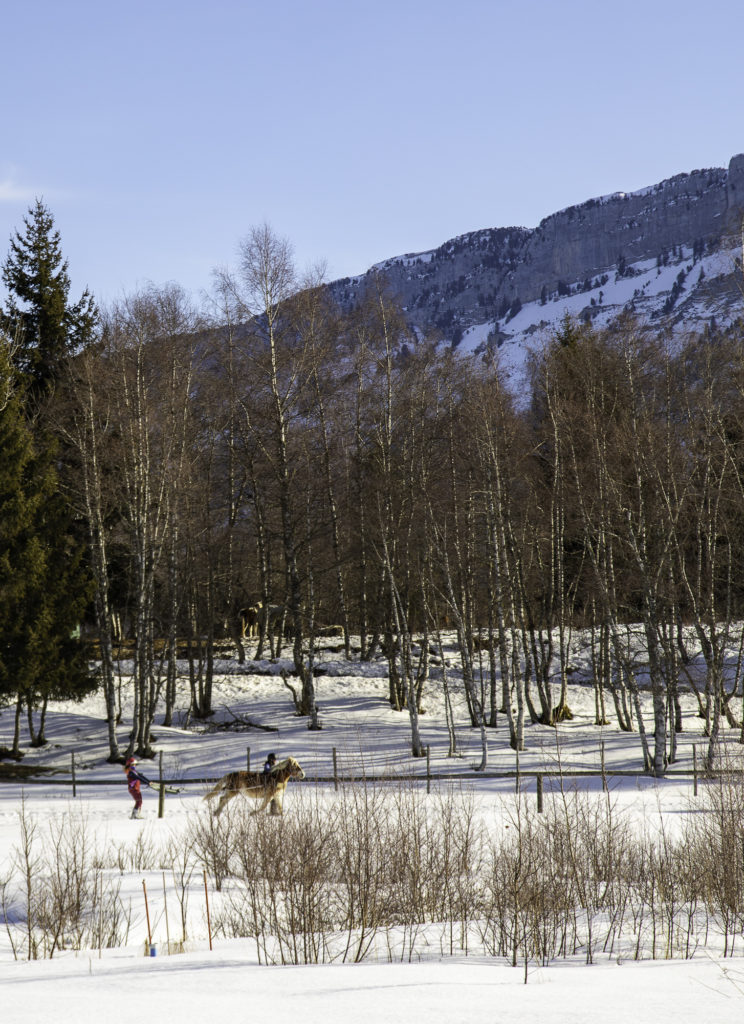 ski joering chevaux savoie grand revard chambery montagnes