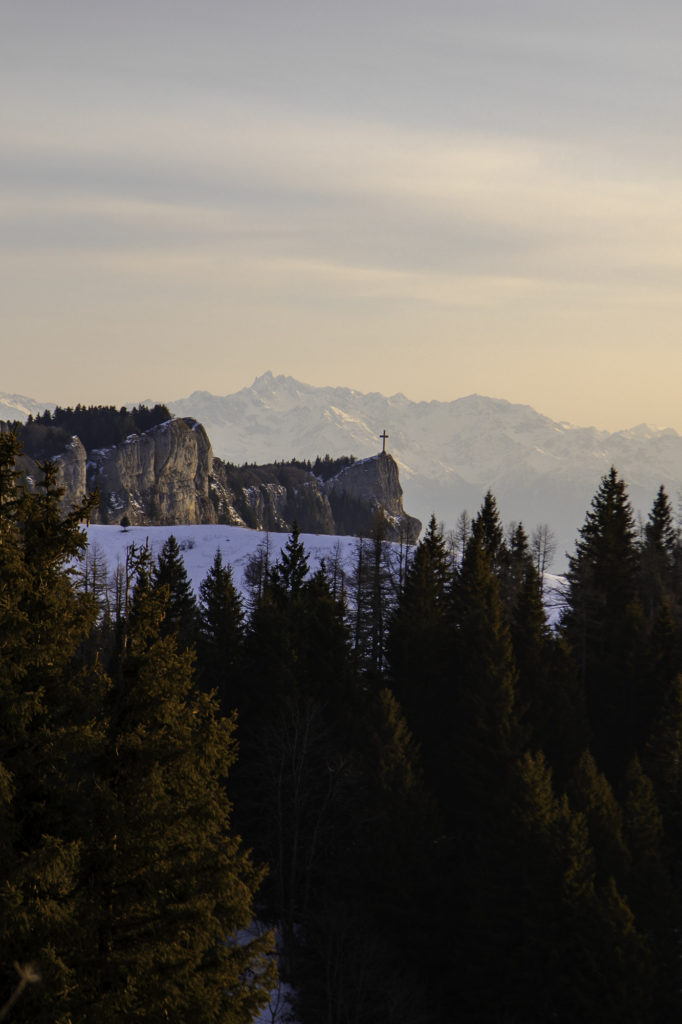 randonner avec mon chien à savoie grand revard dans les montagnes de chambéry