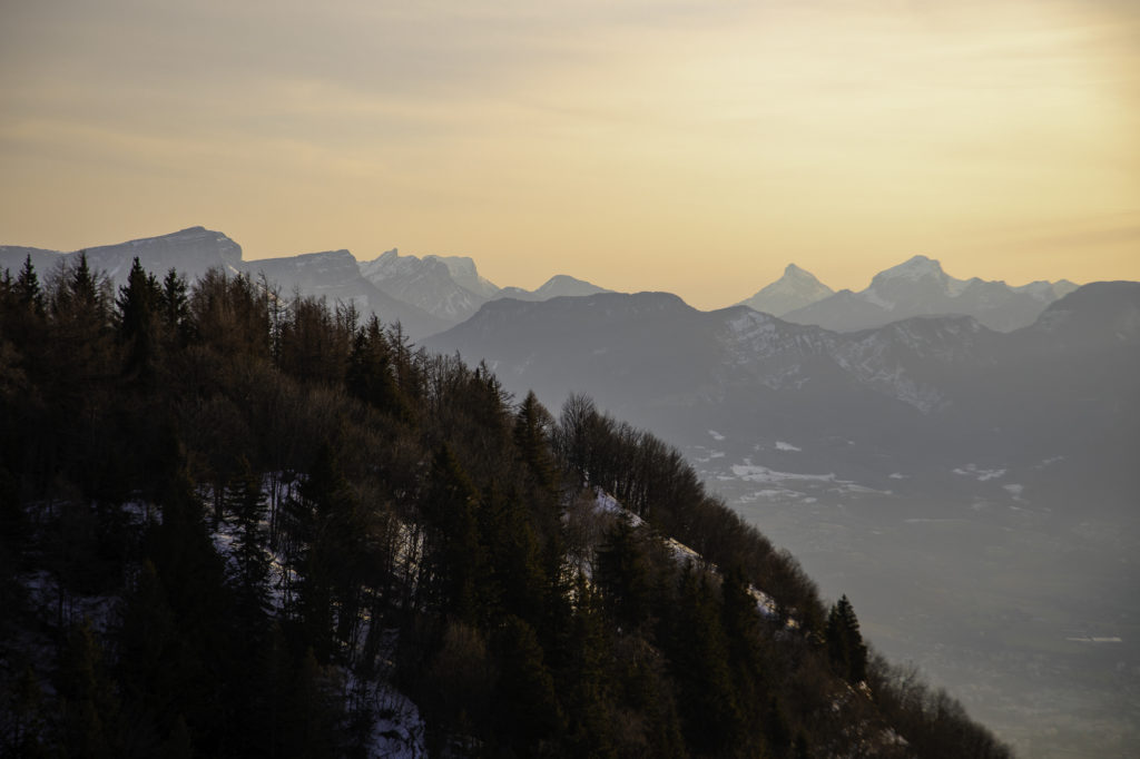 Que voir et que faire à Savoie Grand Revard en hiver ? Randonnée, chiens de traîneau, ski joering en pleine nature dans les montagnes de Chambéry