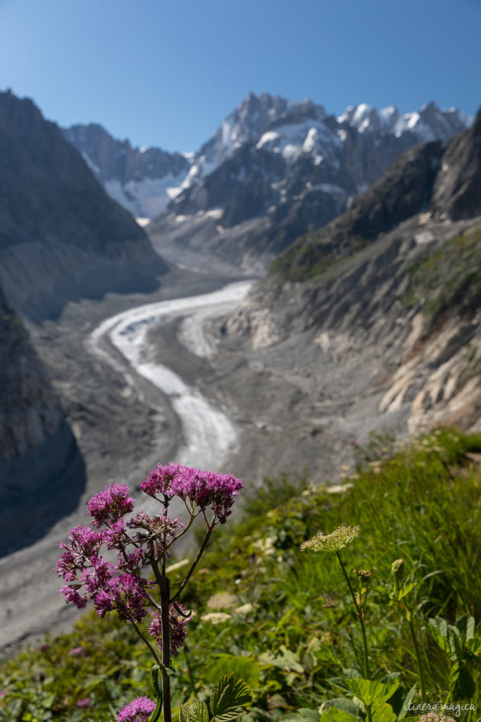 Que faire à Chamonix ? Les plus belles randonnées à Chamonix, la randonnée de la Jonction, une nuit au Montenvers, un vol en parapente à Chamonix...