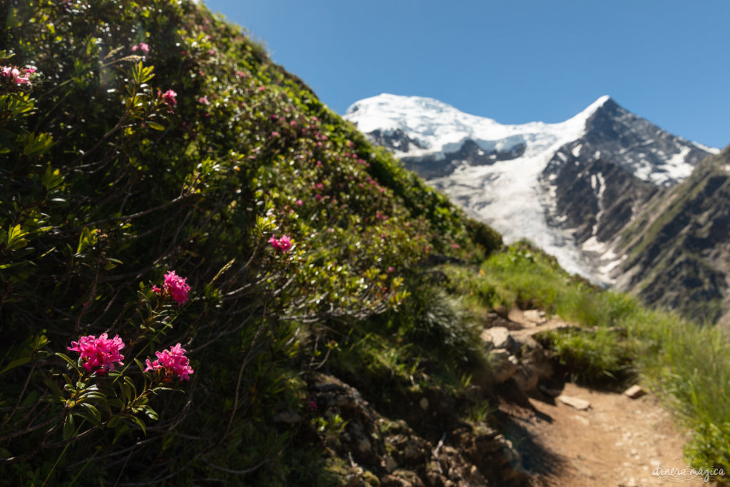 Que faire à chamonix ? La randonnée de la Jonction