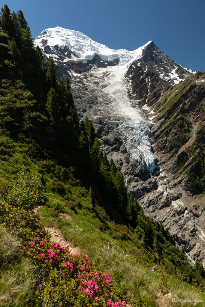 Que faire à chamonix ? La randonnée de la Jonction